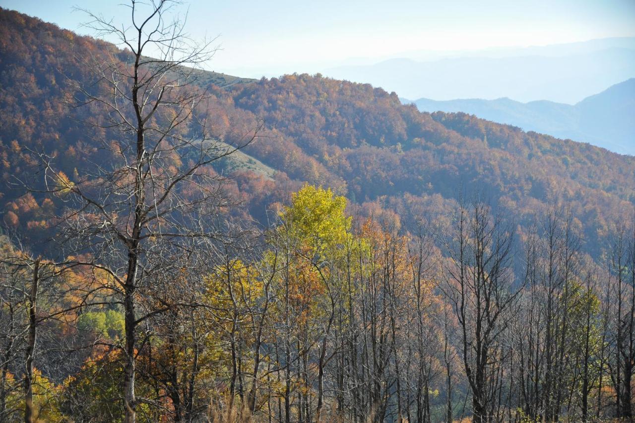Apartmani Krstojevic Kopaonik Buitenkant foto